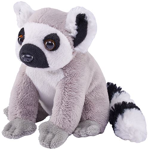 Peluche Pocketkins Eco: Lémure de Cauda Anelar - Wild Republic Hot on Sale