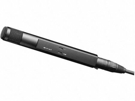 Sennheiser MKH 30-P48 Cheap