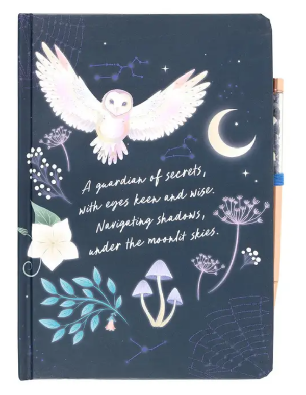 Something Different: A5 Notebook - Night Owl (w  Pen) For Cheap